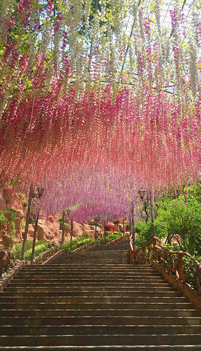 广东旅游景点