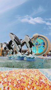 上海海昌海洋公园
