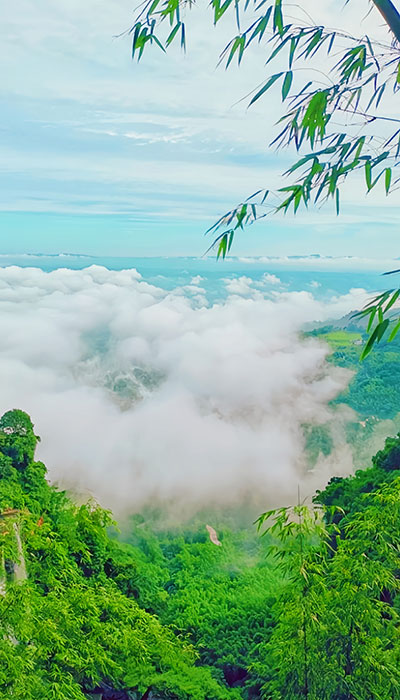 蜀南竹海