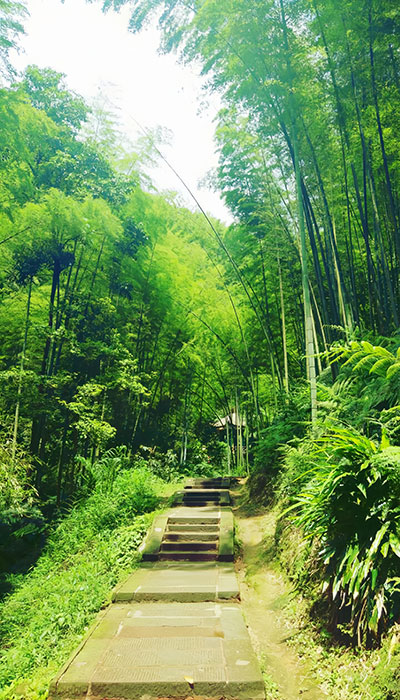 四川旅游景区