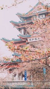 鼋头渚(江苏5A级景区)