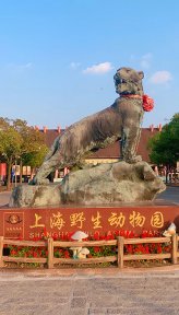 上海野生动物园(上海5A级景区)