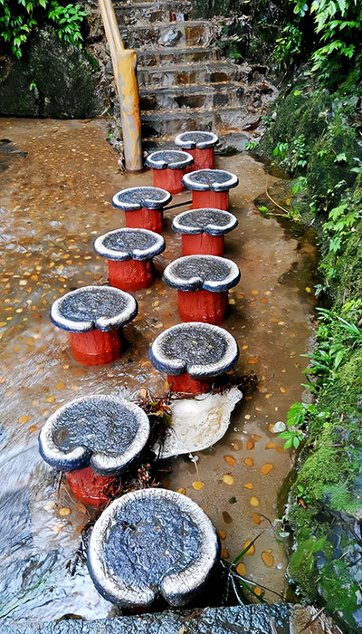 广西旅游景区
