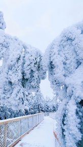 仙女山(重庆5A级景区)