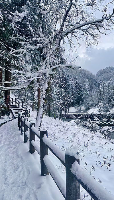 四川旅游景点